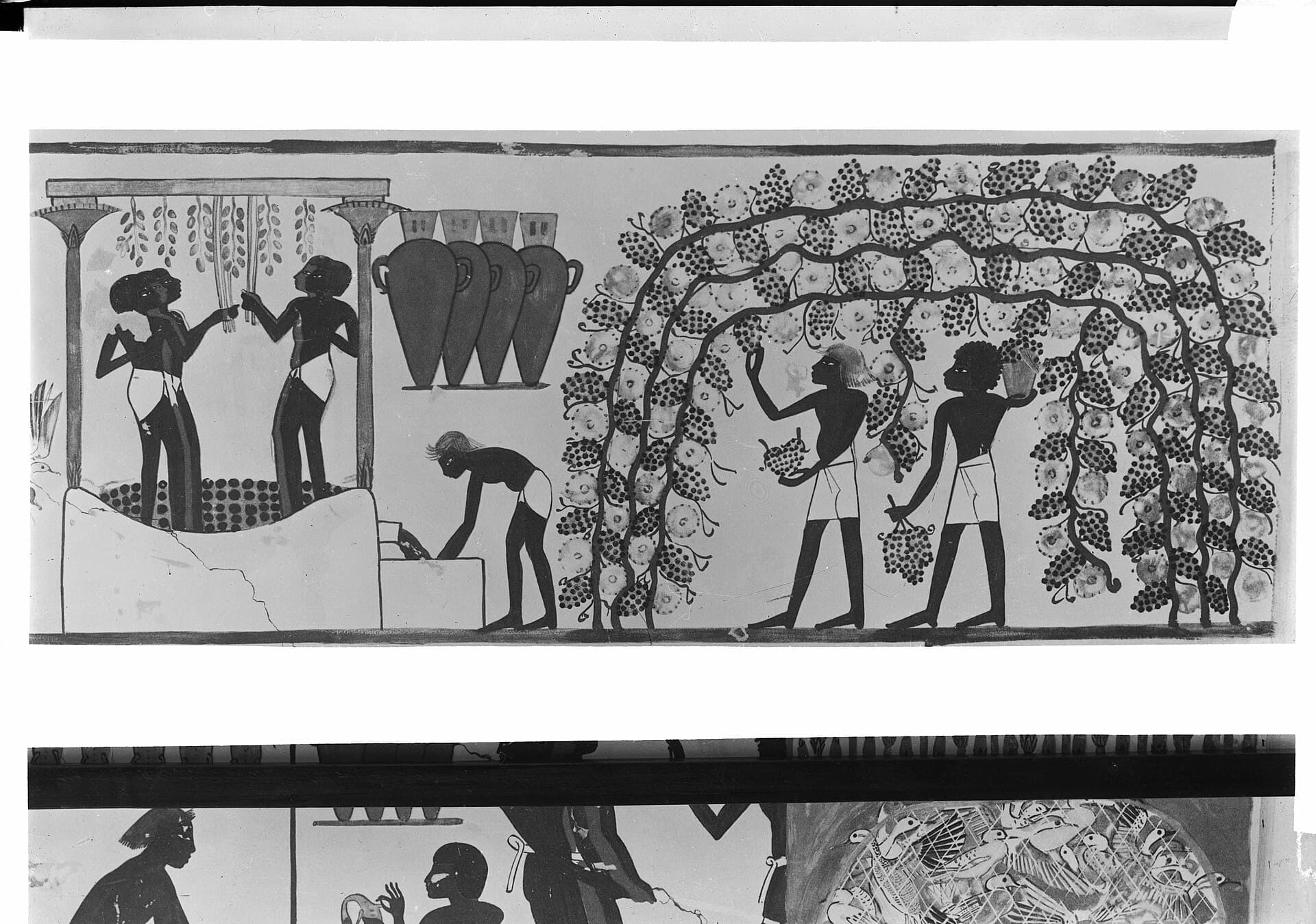 A black-and-white photograph of a tomb painting: men picking grapes from a vine arbour and treading grapes in a vat beside a row of wine jars.